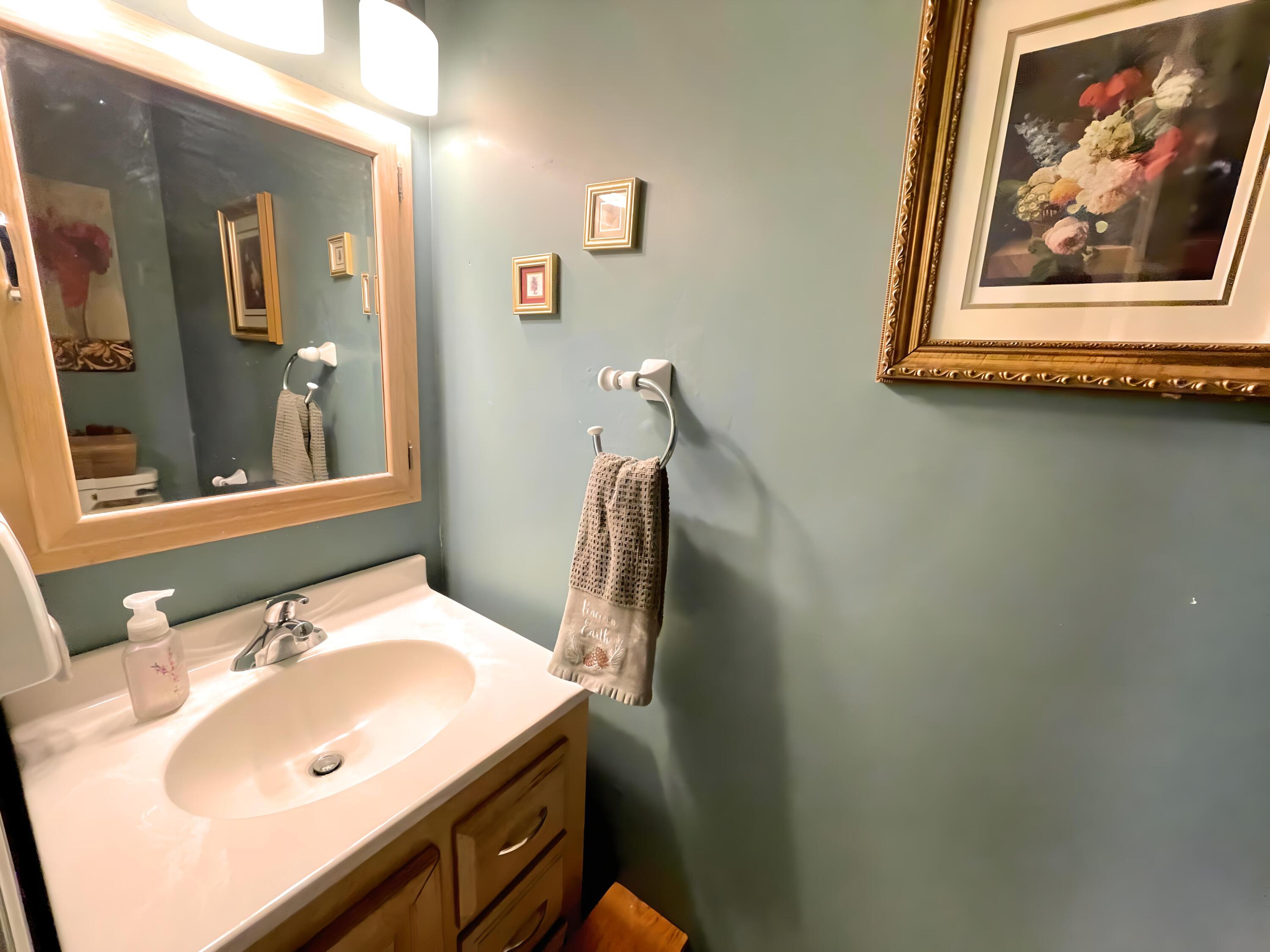 719 Homestead Avenue Effort, PA 18330 - Photo 12 of 33 Hall bath