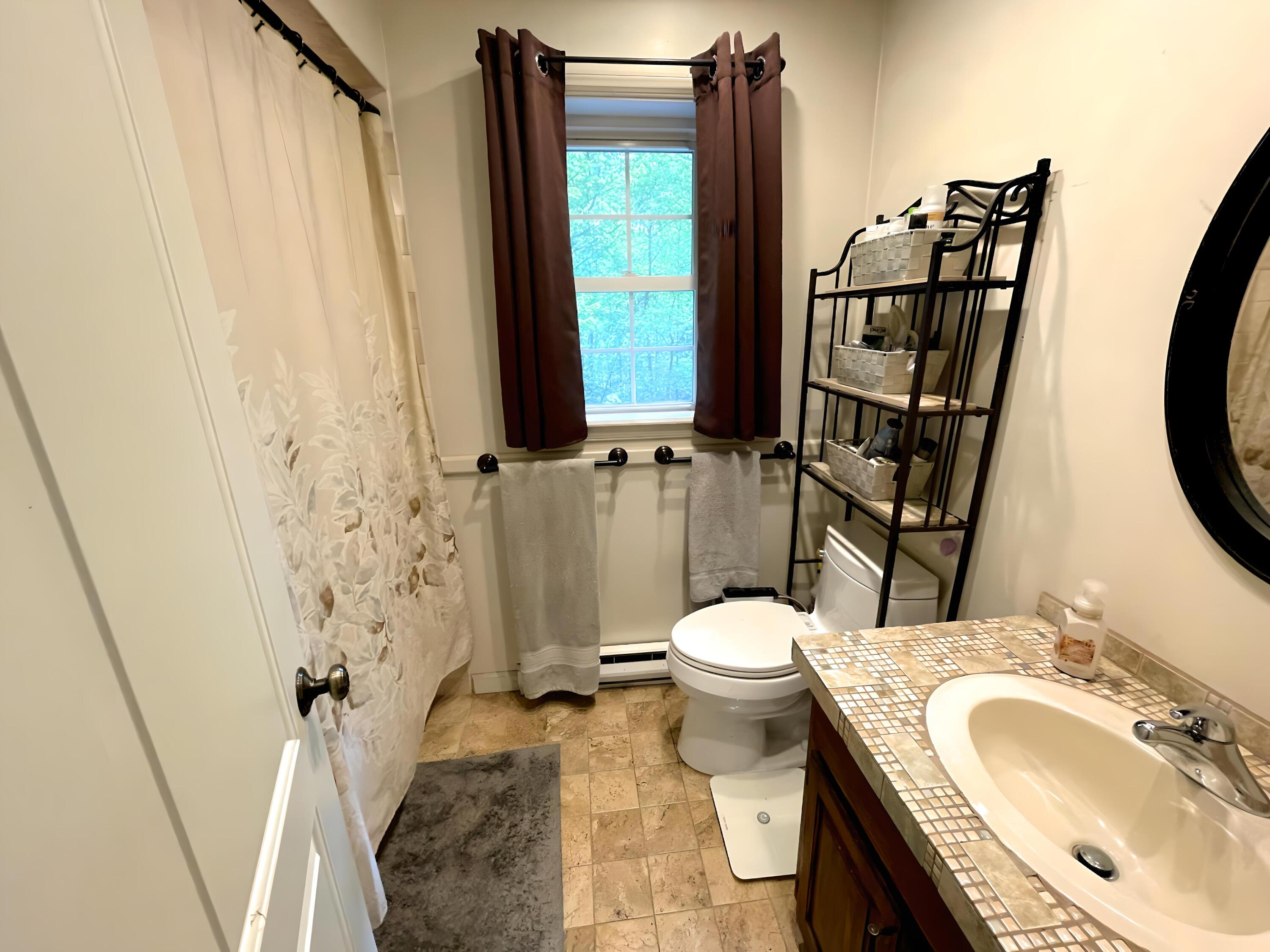 719 Homestead Avenue Effort, PA 18330 - Photo 21 of 33 Primary bath