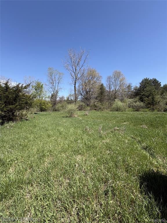 Parcel 2 Pineway Trail Howell, MI 48855 - Photo 8 of 15