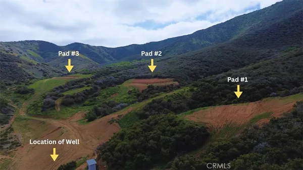 a view of a city with lush green forest