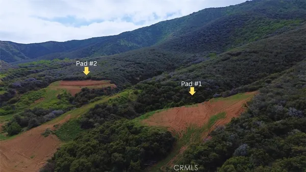 a view of a dry yard