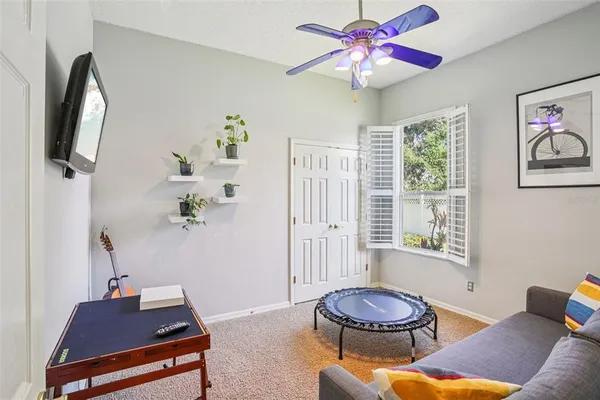 a living room with furniture and a potted plant