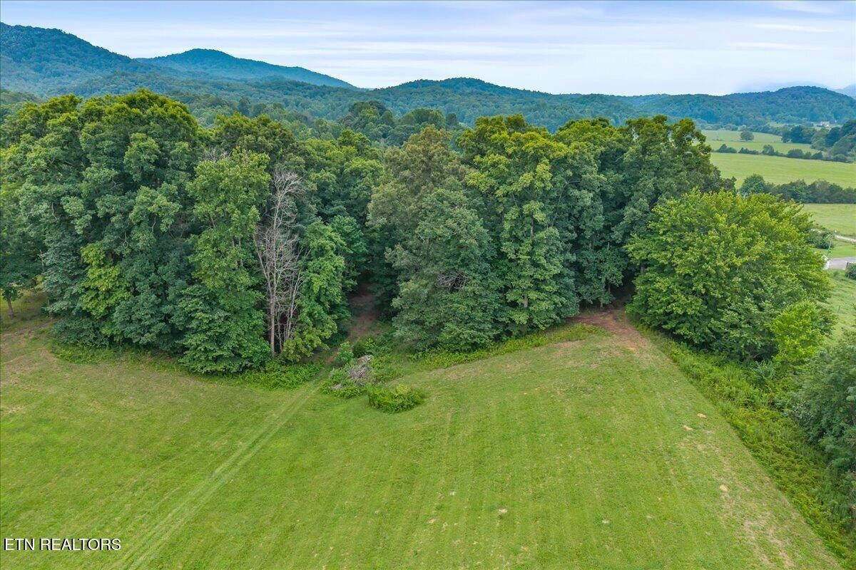 160 Rural Vale Road Tellico Plains, TN 37385 - Photo 44 of 51 Gallery Image 44