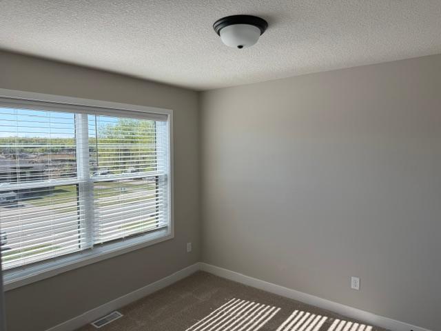 10554 Robinwood Road Chaska, MN 55318 - Photo 5 of 11