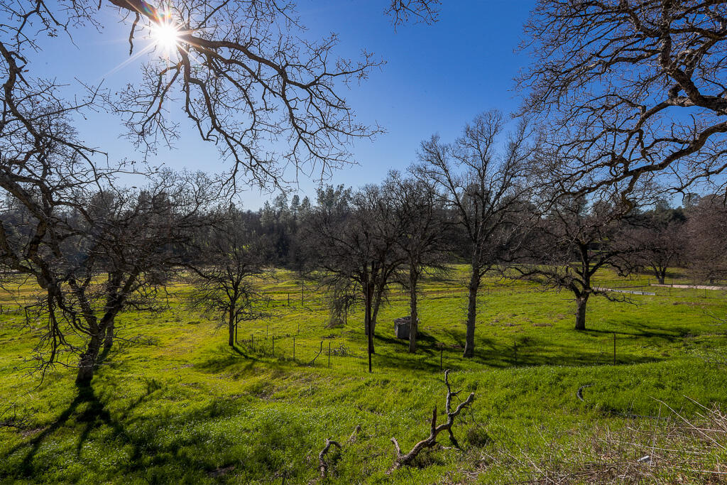 19019 Olinda Road Anderson, CA 96007 - Photo 47 of 48 19019 Olinda (43)