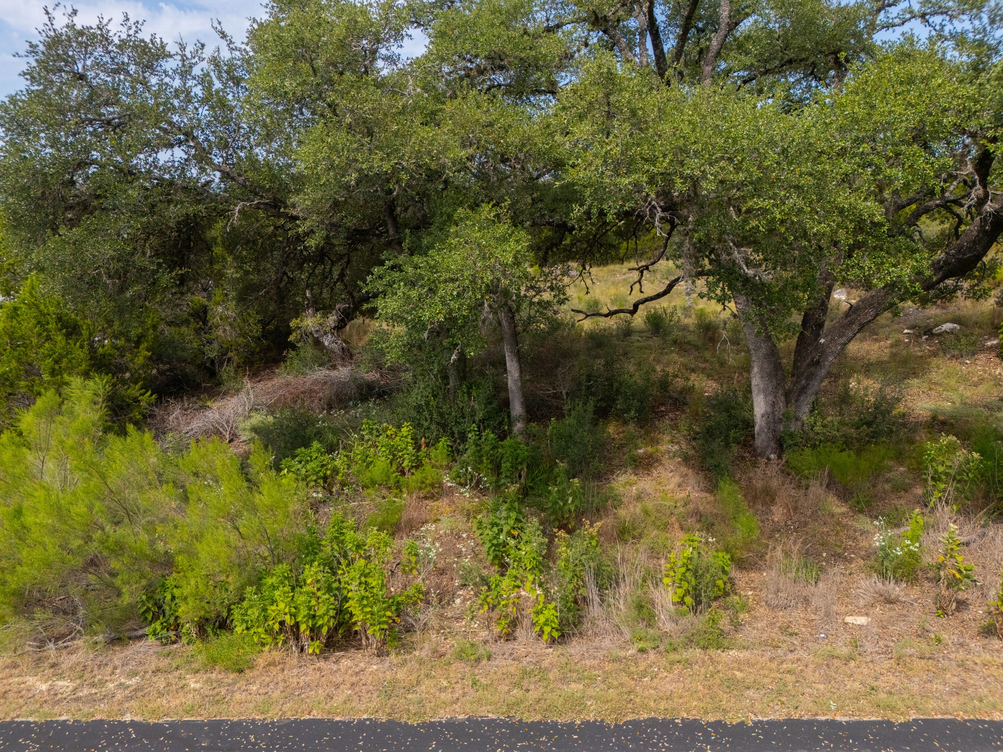 115 Upper River Place Spring Branch, TX 78070 - Photo 9 of 19 Mature oak trees frame a gentle hillside slope ideal for custom building.