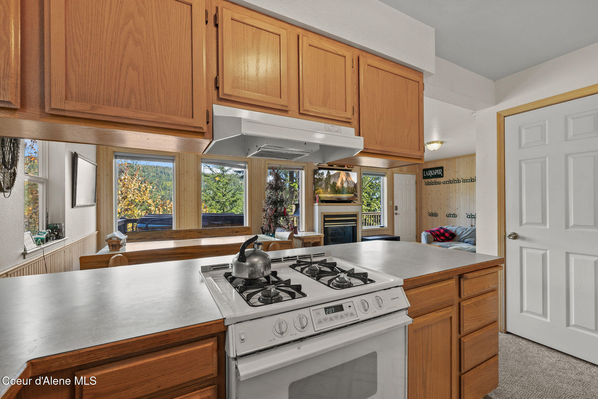 643 Telemark Road Sandpoint, ID 83864 - Photo 32 of 48 39_SelkirkMedia