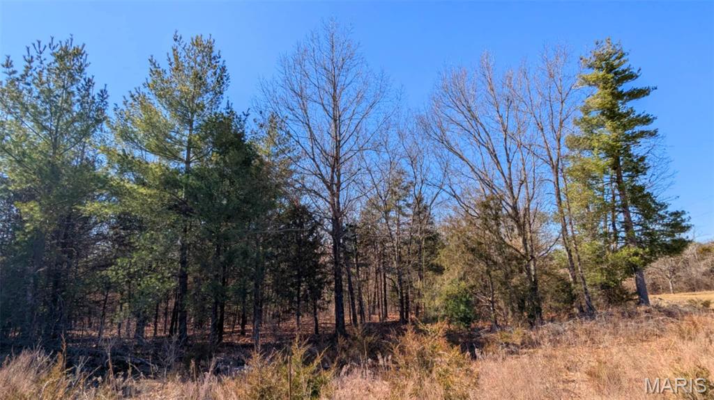 19 Windy Ridge Lane Warrenton, MO 63383 - Photo 1 of 7