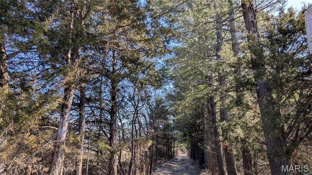 19 Windy Ridge Lane Warrenton, MO 63383 - Photo 7 of 7