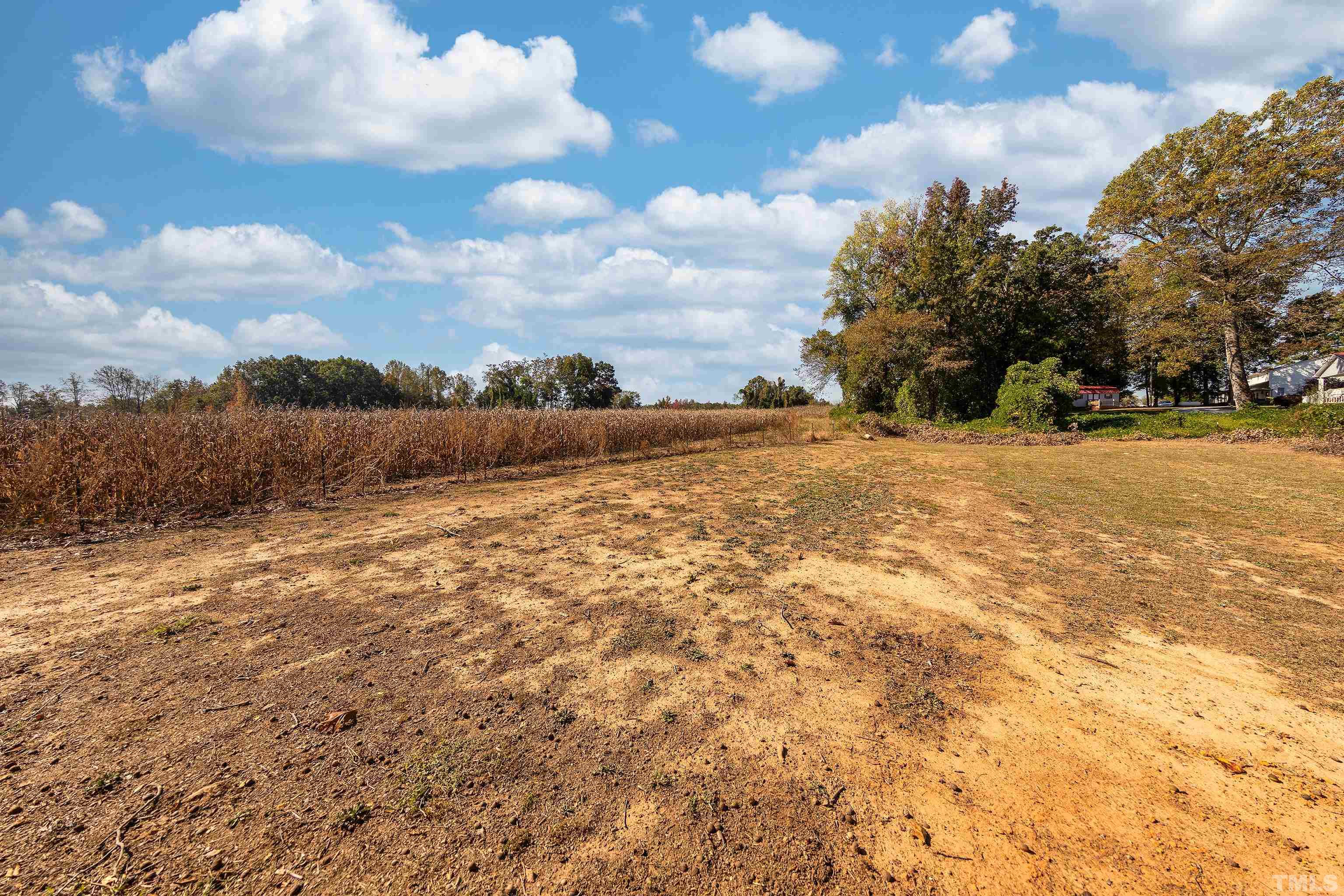 1469 Semora Road Roxboro, NC 27574 - Photo 22 of 22 a view of a yard with a house