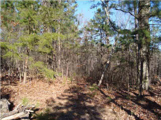 0 Walkers Gap Road, Unit 3 37 AC Springville, AL 35146 - Photo 2 of 9
