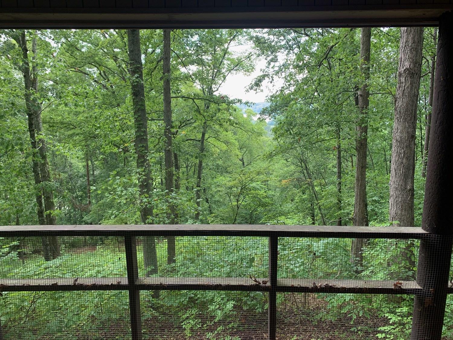 2569 River Road Kingston, TN 37763 - Photo 27 of 36 IMG_6562