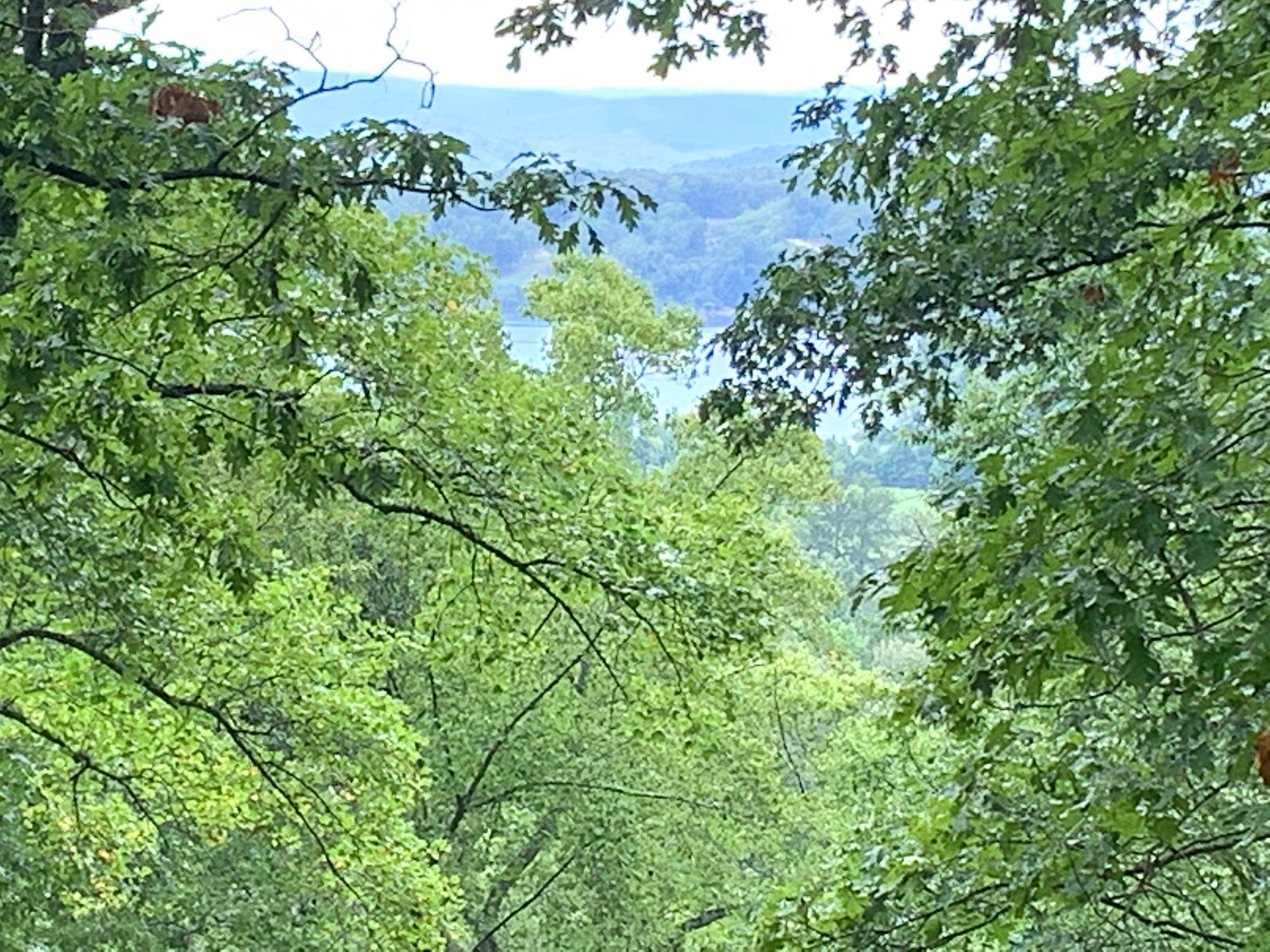 2569 River Road Kingston, TN 37763 - Photo 28 of 36 IMG_6563