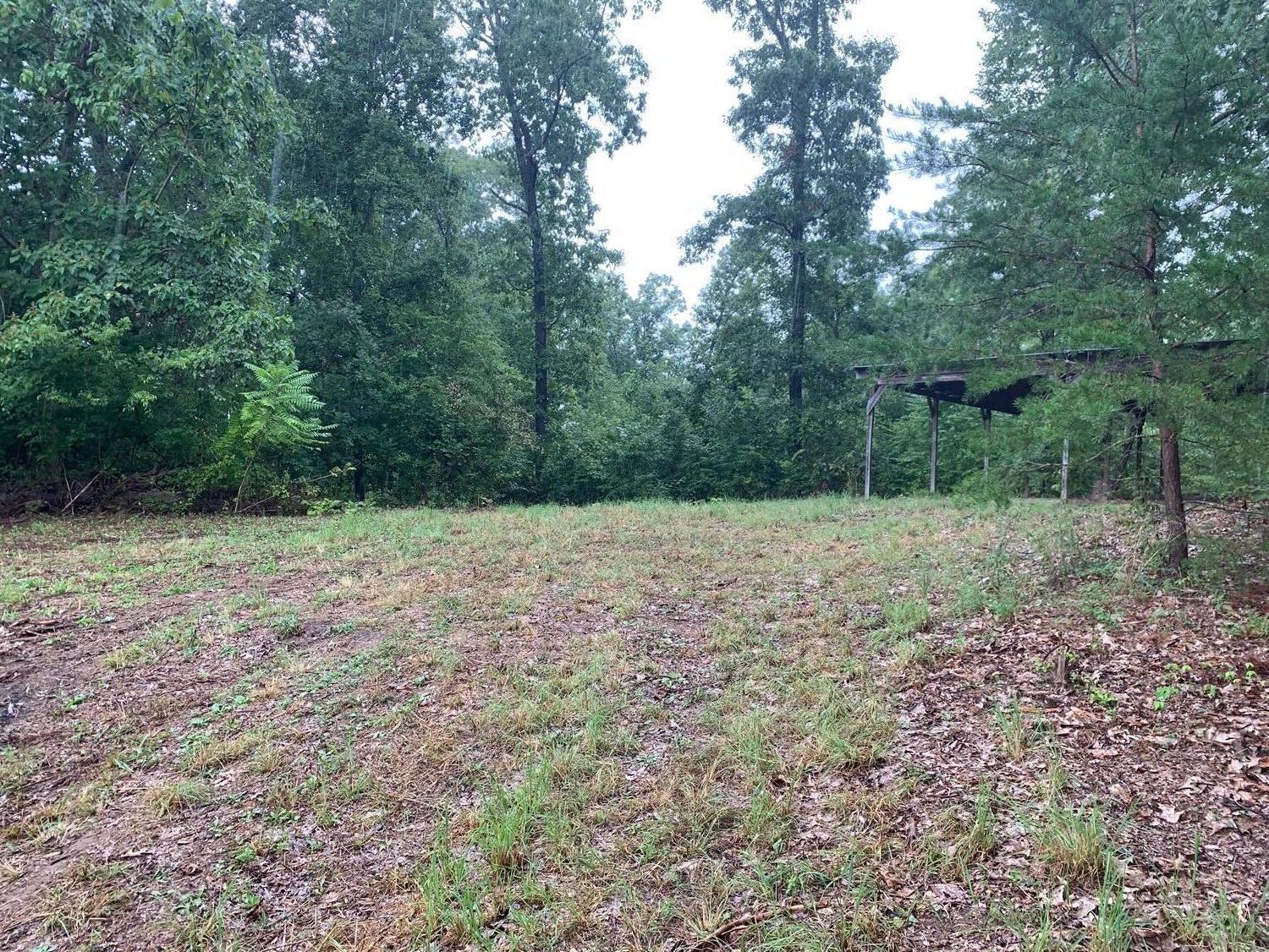 2569 River Road Kingston, TN 37763 - Photo 29 of 36 IMG_6555