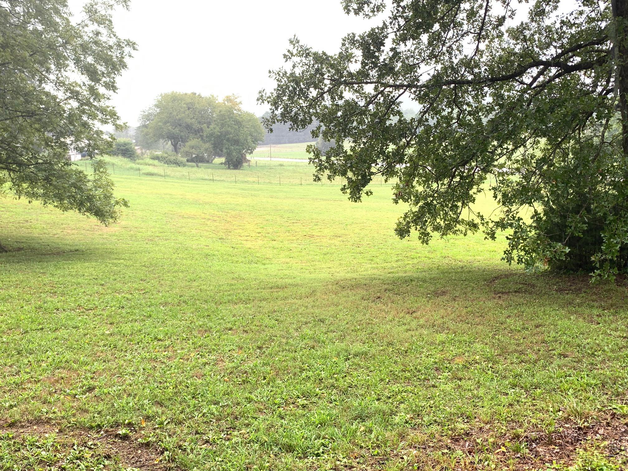 IMG_6550