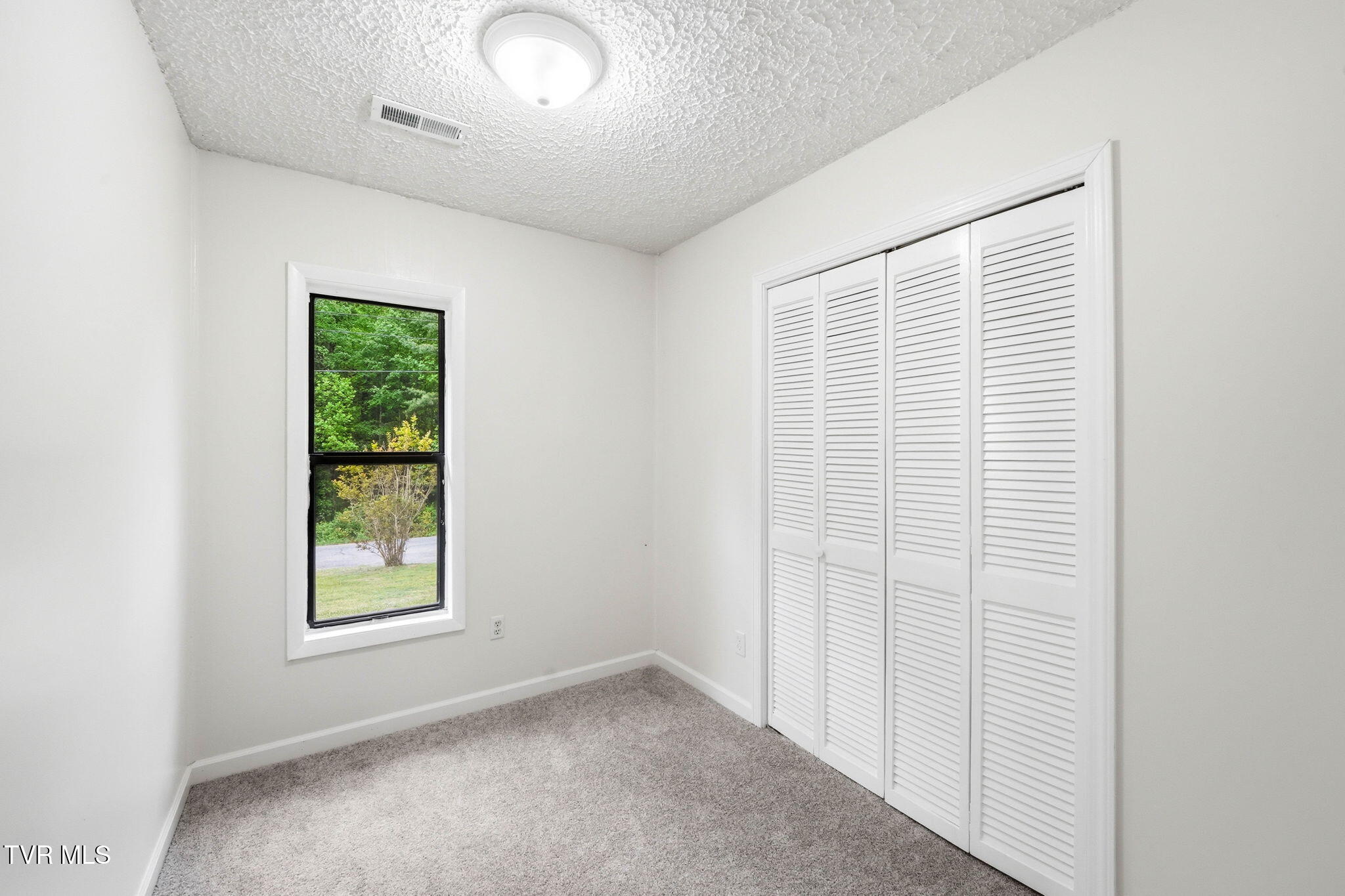 737 Lower Stone Mountain Road Unicoi, TN 37692 - Photo 20 of 34 14-web-or-mls-737 Lower Stone Mtn-21
