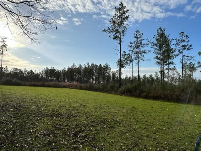 10 Smyrna Road Florala, AL 36442 - Photo 2 of 9 Gallery Image 2