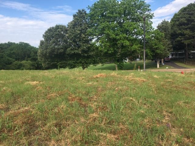 0 Leta Loop Brighton, TN 38011 - Photo 2 of 4 Gallery Image 2