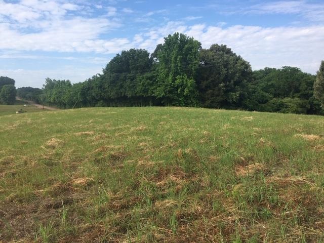 0 Leta Loop Brighton, TN 38011 - Photo 3 of 4 Gallery Image 3