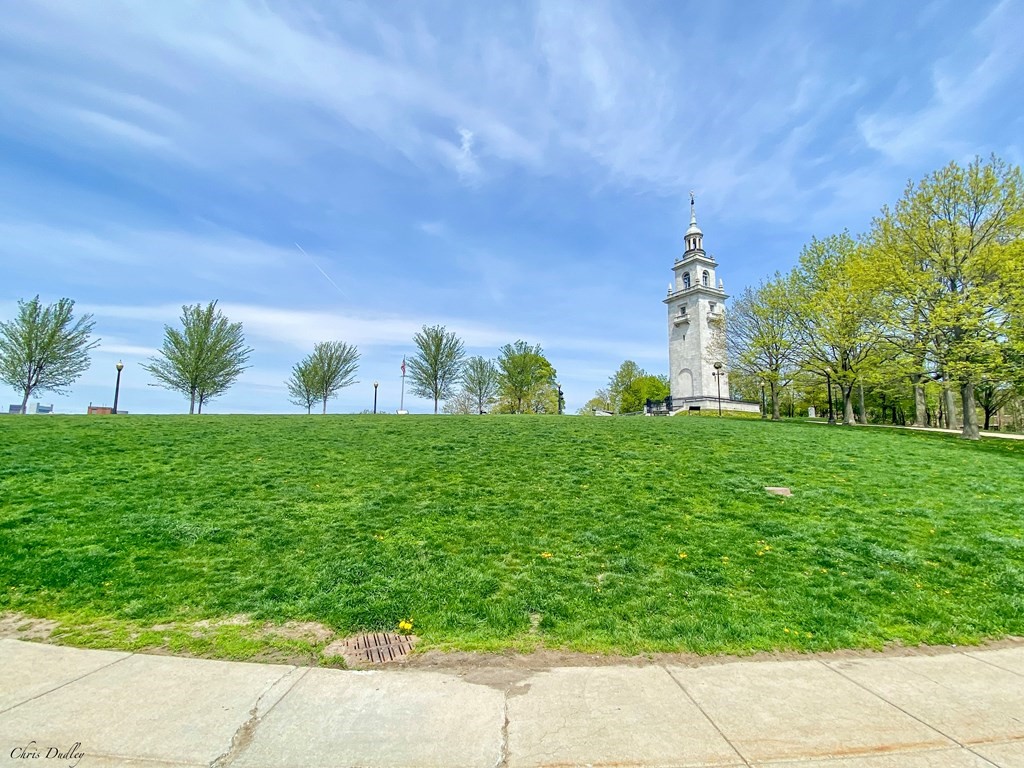 53 Thomas Park, Unit 9 Boston, MA 02127 - Photo 38 of 41 a view of a garden with plants and large trees