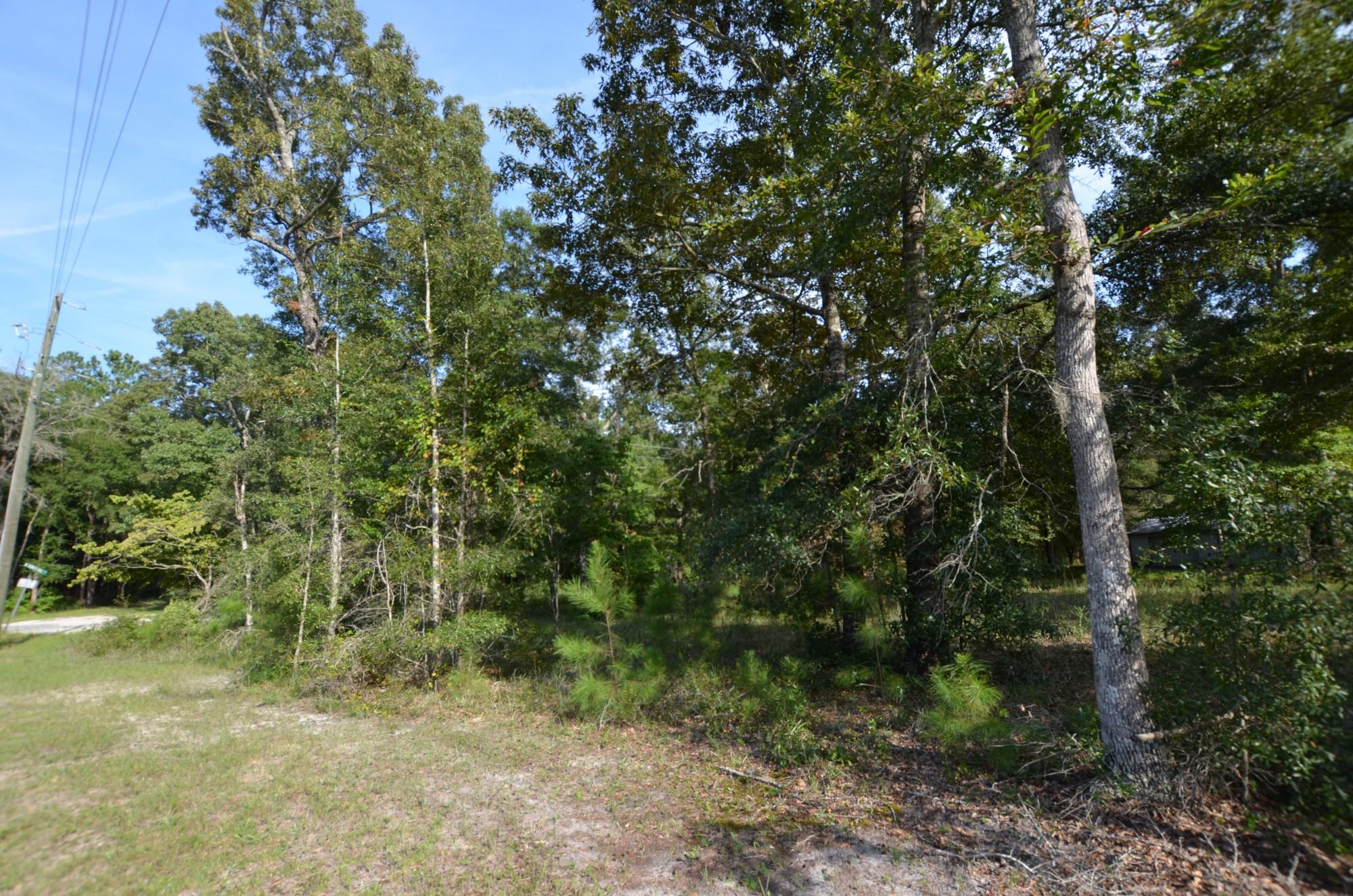 385 Old Cemetary Road Jamestown, SC 29453 - Photo 3 of 4 DSC_0531