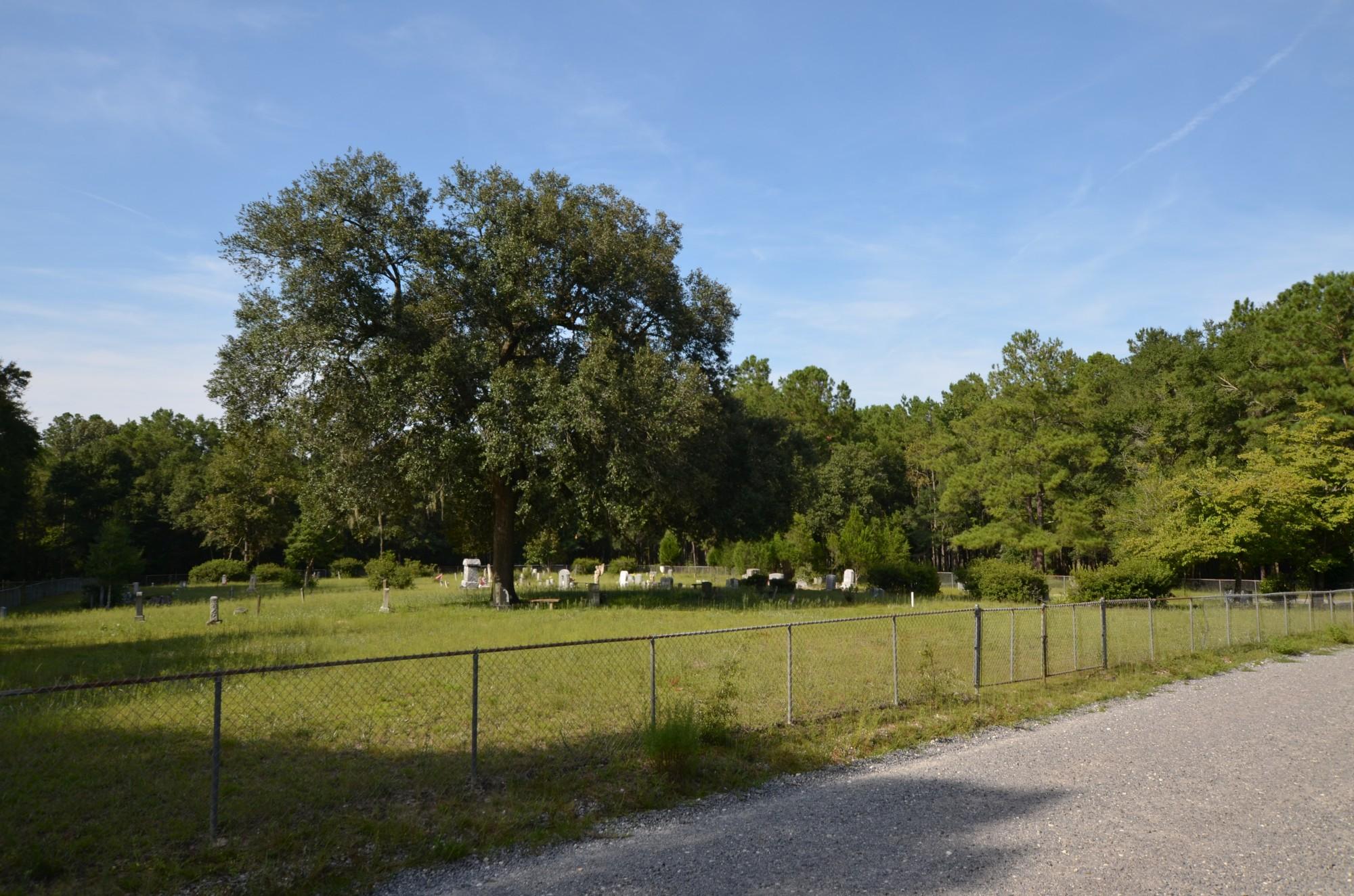 385 Old Cemetary Road Jamestown, SC 29453 - Photo 4 of 4 DSC_0530