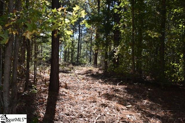 0 Mattie Campbell Road, Unit LOTS 2 Honea Path, SC 29654 - Photo 15 of 26
