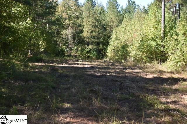 0 Mattie Campbell Road, Unit LOTS 2 Honea Path, SC 29654 - Photo 16 of 26