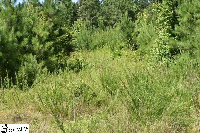 0 Mattie Campbell Road, Unit LOTS 2 Honea Path, SC 29654 - Photo 18 of 26