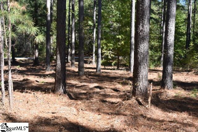 0 Mattie Campbell Road, Unit LOTS 2 Honea Path, SC 29654 - Photo 19 of 26