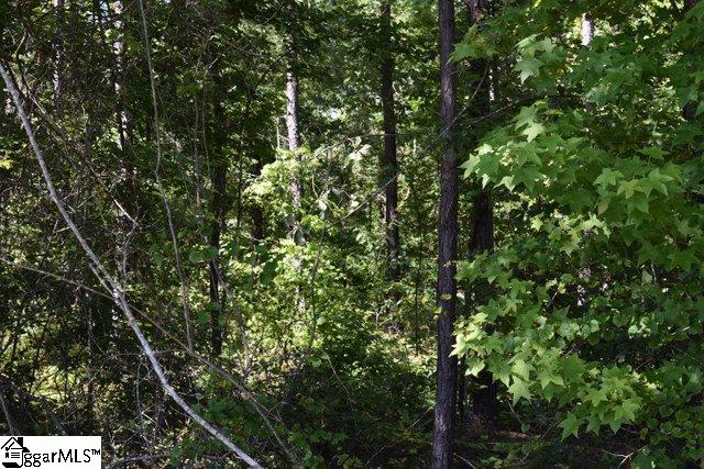 0 Mattie Campbell Road, Unit LOTS 2 Honea Path, SC 29654 - Photo 20 of 26
