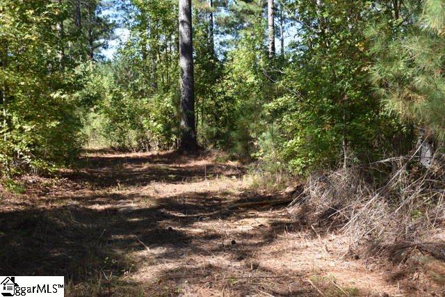 0 Mattie Campbell Road, Unit LOTS 2 Honea Path, SC 29654 - Photo 21 of 26