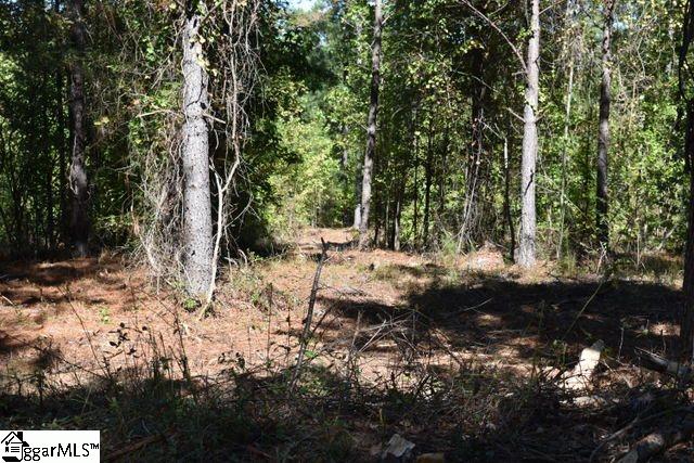 0 Mattie Campbell Road, Unit LOTS 2 Honea Path, SC 29654 - Photo 24 of 26