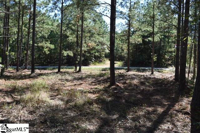 0 Mattie Campbell Road, Unit LOTS 2 Honea Path, SC 29654 - Photo 25 of 26