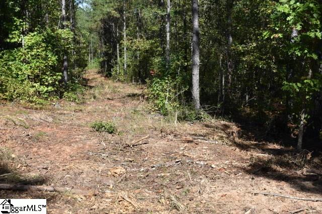 0 Mattie Campbell Road, Unit LOTS 2 Honea Path, SC 29654 - Photo 4 of 26