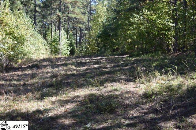 0 Mattie Campbell Road, Unit LOTS 2 Honea Path, SC 29654 - Photo 6 of 26