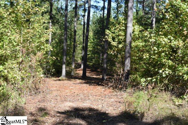 0 Mattie Campbell Road, Unit LOTS 2 Honea Path, SC 29654 - Photo 10 of 26