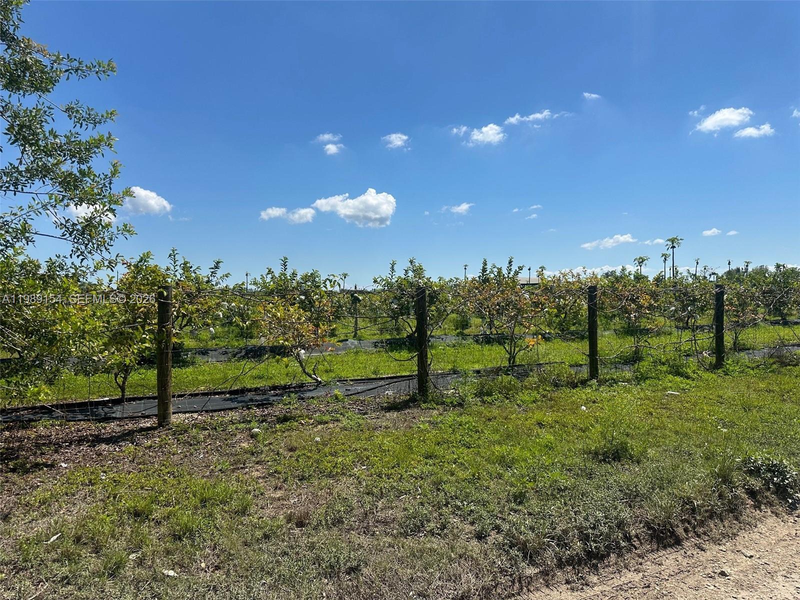 212-xx Southwest 360th Street Homestead, FL 33034 - Photo 3 of 3 Photo 3