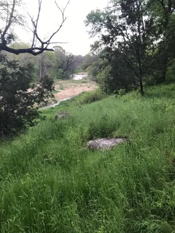 a view of a field of grass and trees