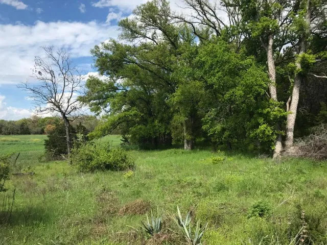 a view of a lake from a yard