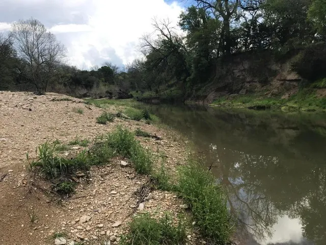 a view of a grassy field with trees