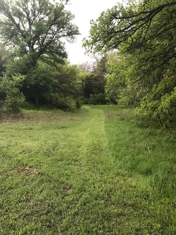 a view of a forest with a lake