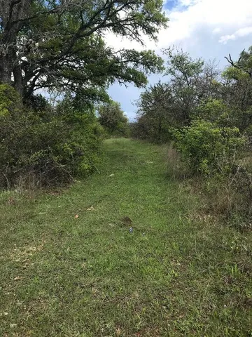 a big yard with lots of green space and deers