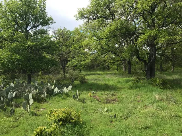 an aerial view of residential houses with outdoor space and trees