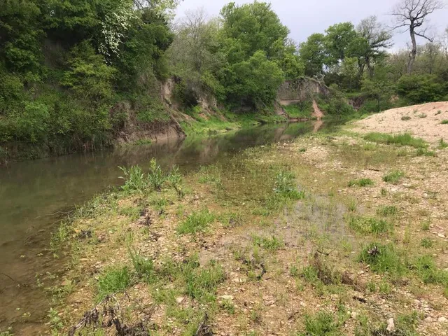 a view of a lush green space