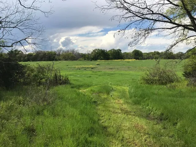 an aerial view of residential houses with outdoor space and trees