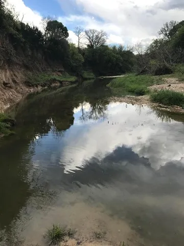 a view of a lake in between two trees