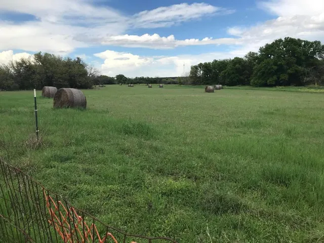 a view of a field with an trees