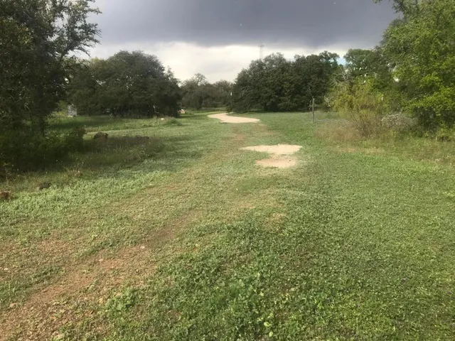 a view of a lush green space and trees