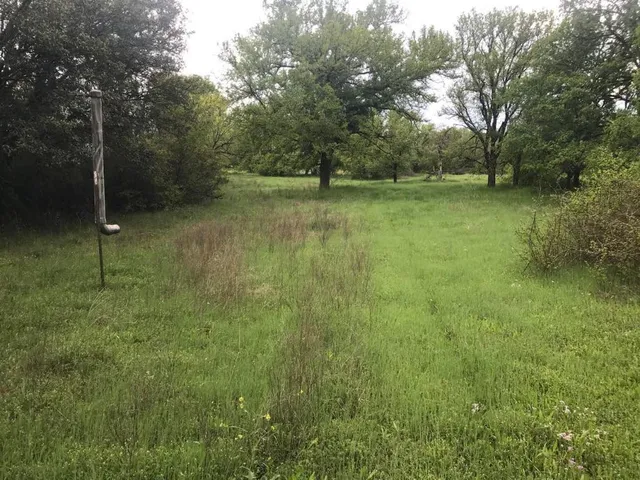 a view of a lush green space